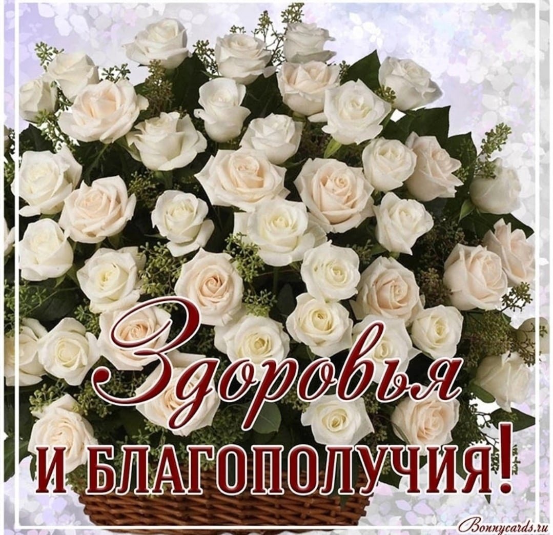 Красивые розы с пожеланиями