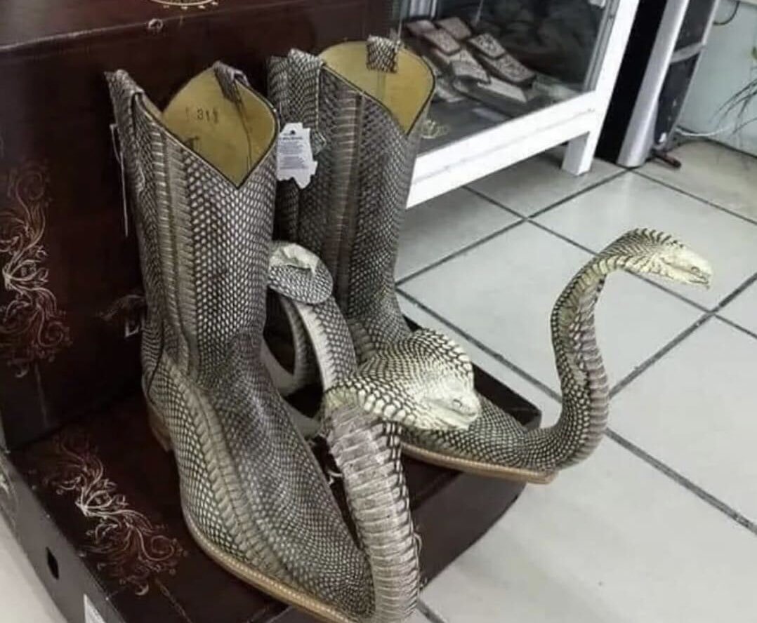 Змея в сапоге
