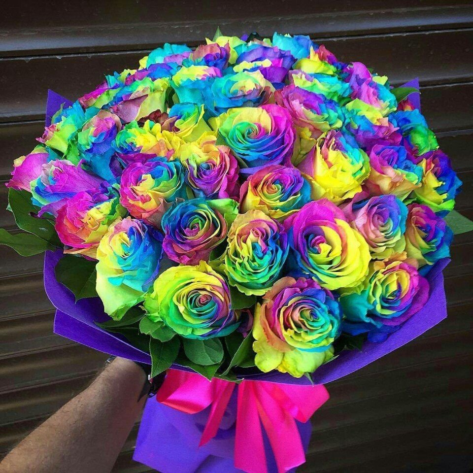 Радужная роза Мондиаль