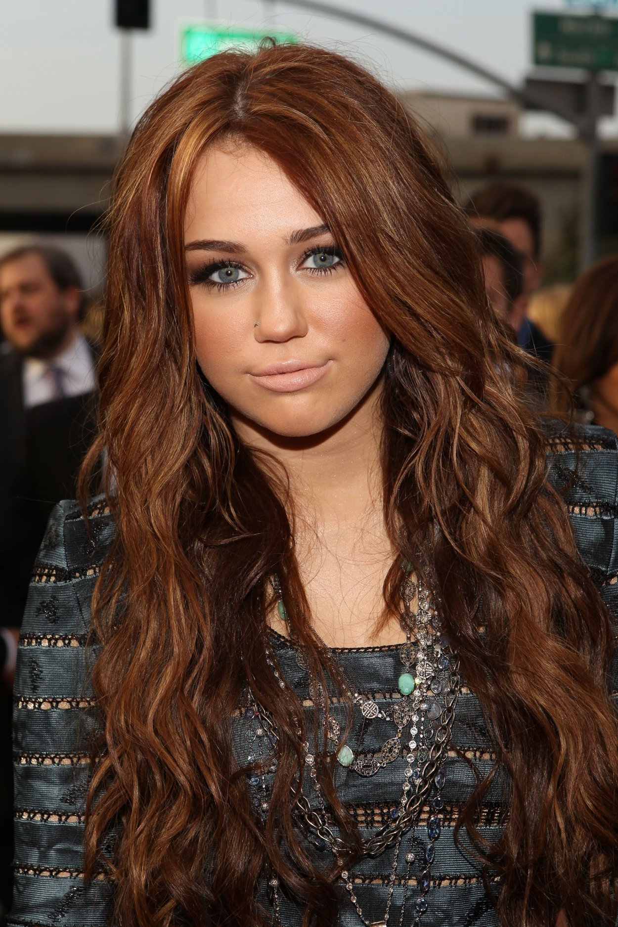 Chestnut Brown цвет волос