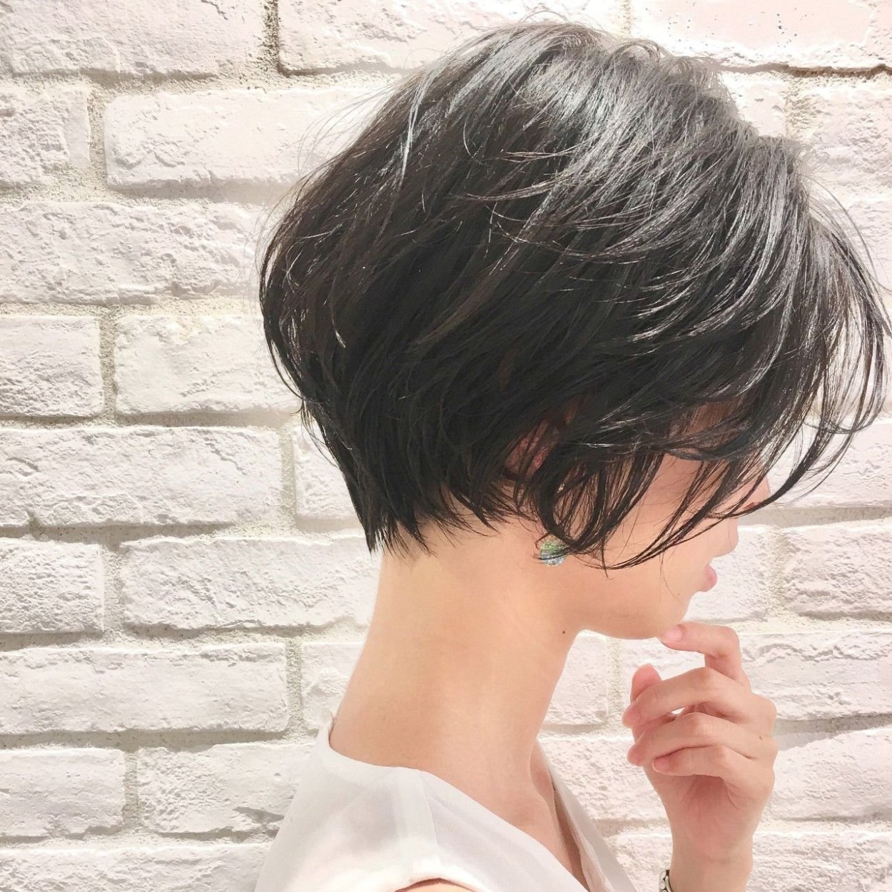 Pixie Bob стрижка Корея