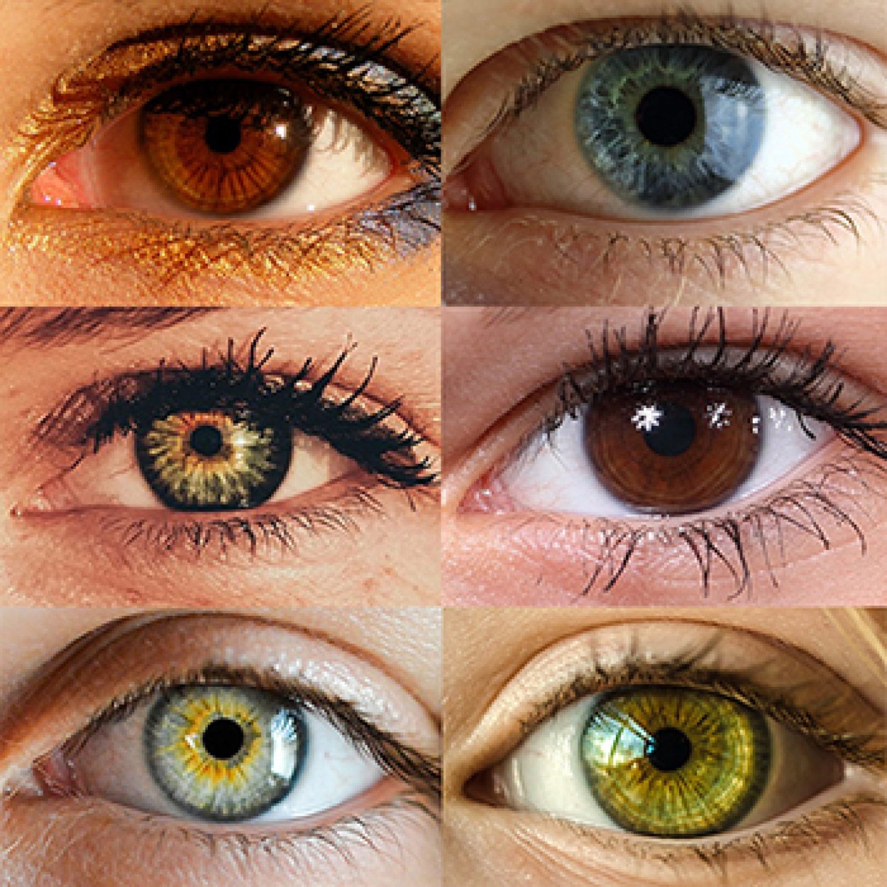 Глазки бывают. Цвет глаз. Оттенки глаз. Всевозможные цвета глаз. Существующие цвета глаз.