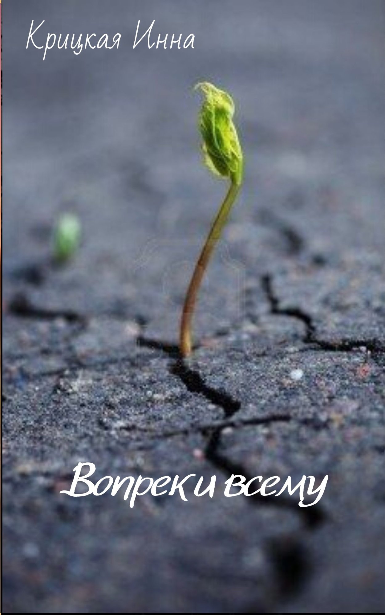 Росток из сухой земли
