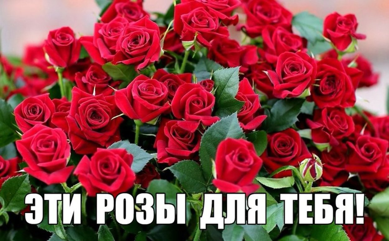 Букет роз для Дочки любимой