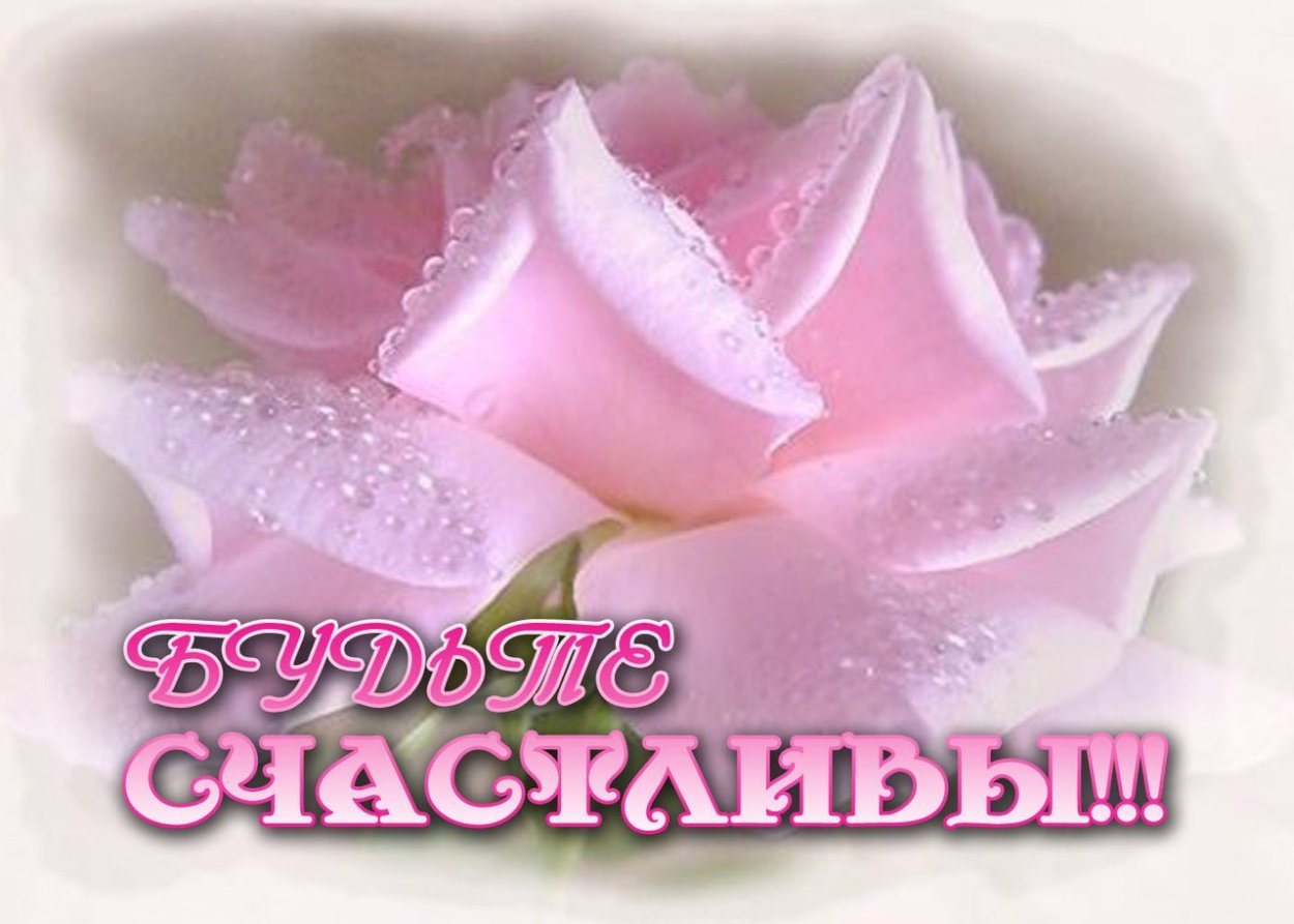 Открытка "с нежностью!"