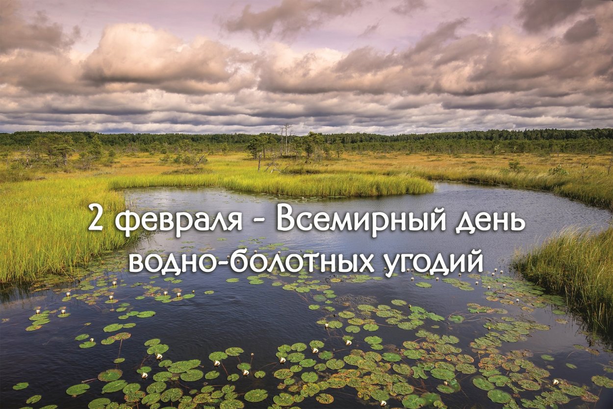 2 Февраля день водно болотных угодий