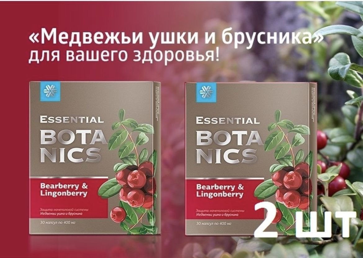 Цветы медвежьи ушки