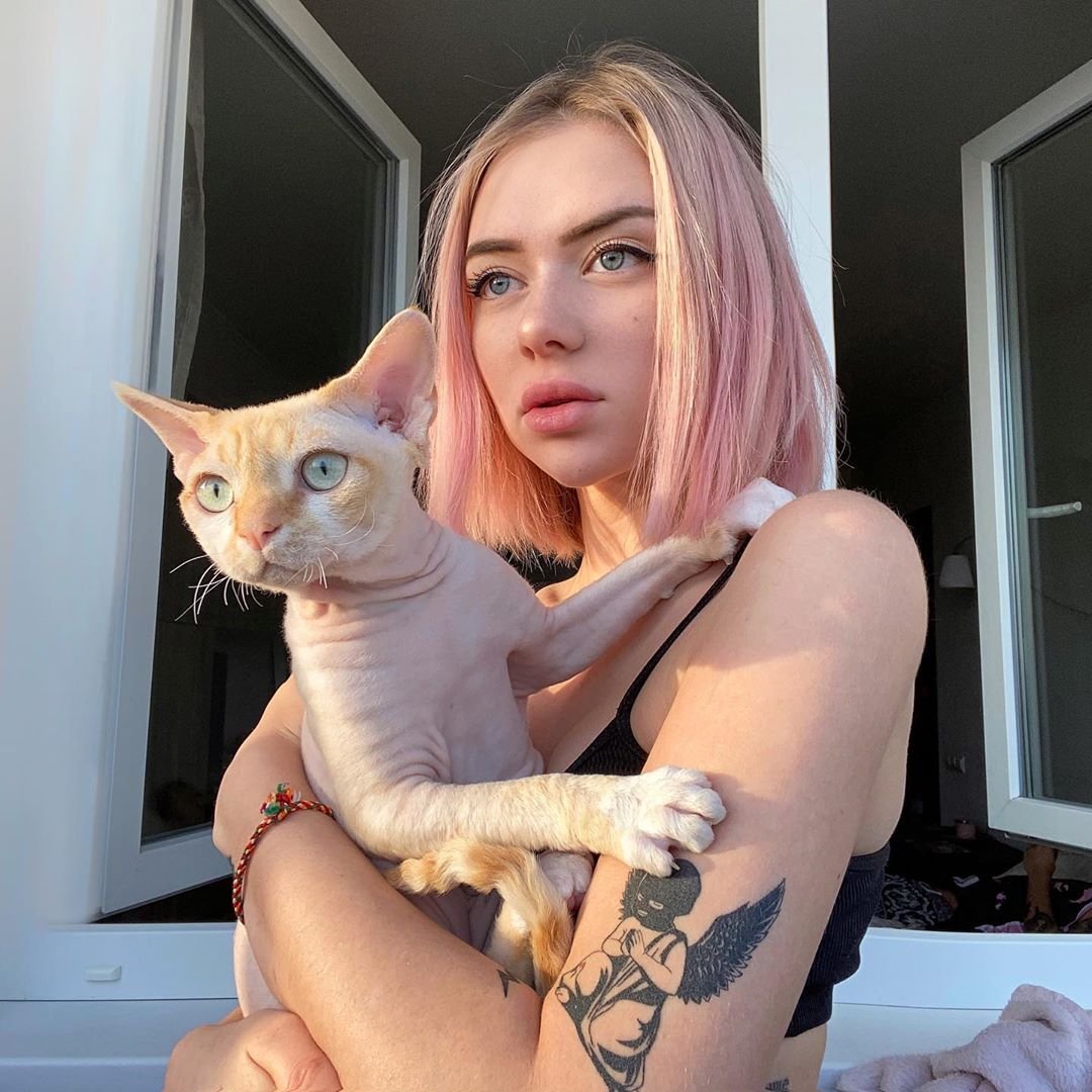 Кот Алины Олешевой