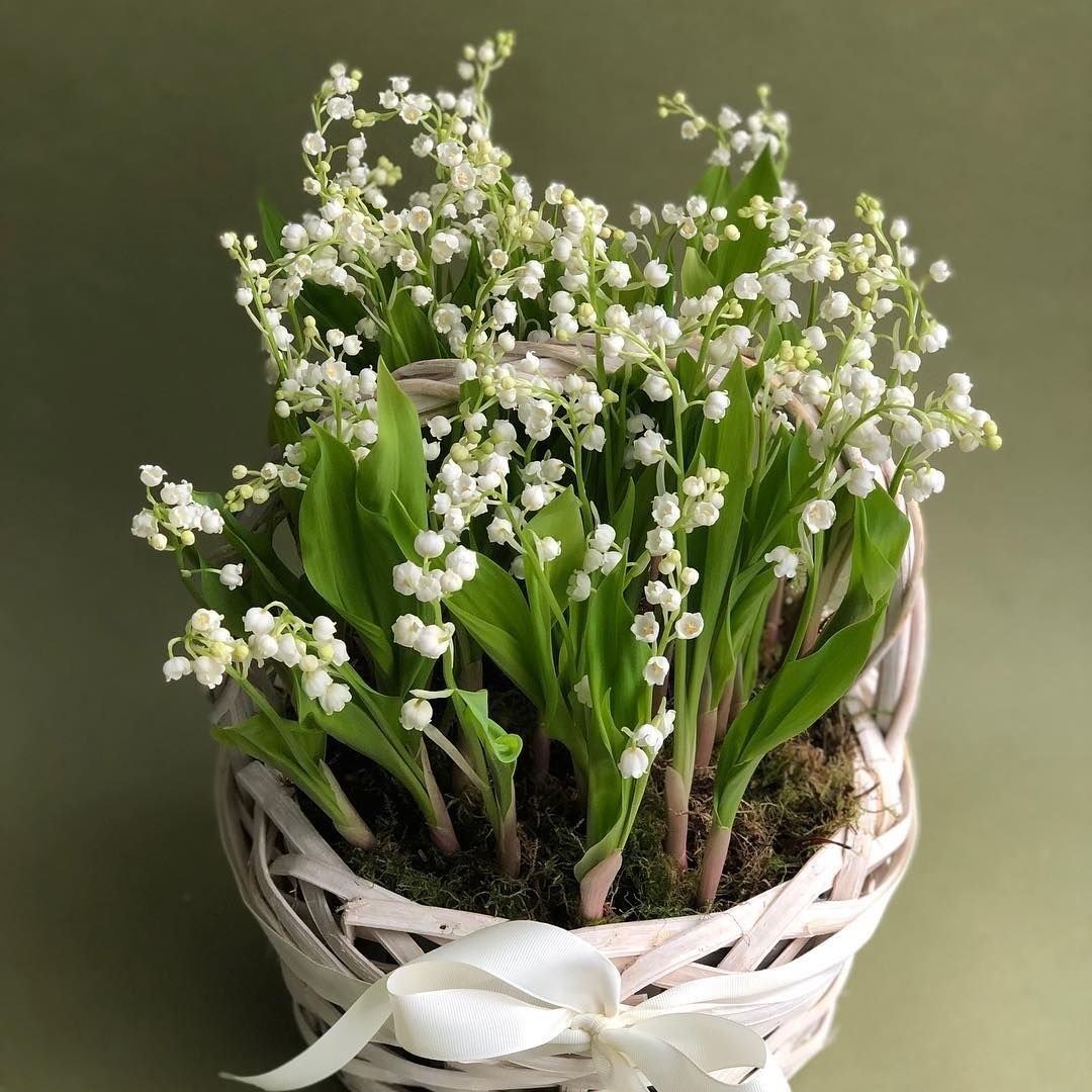 Ландыши в корзине