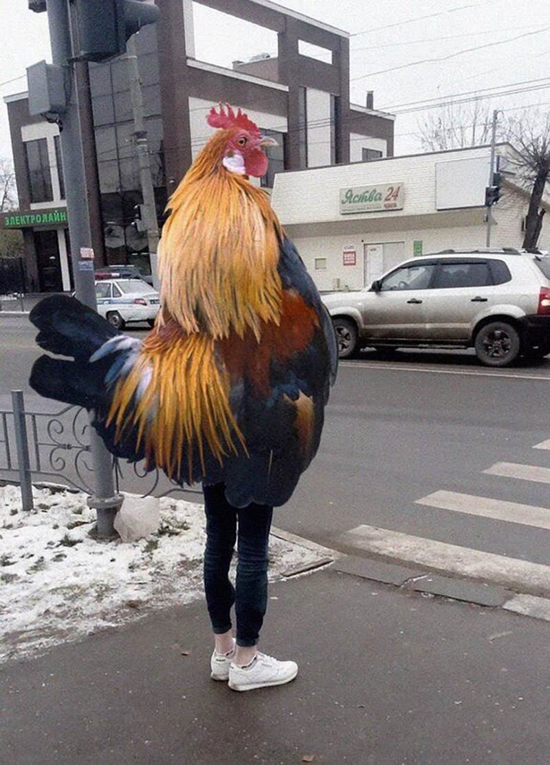 Человек петух