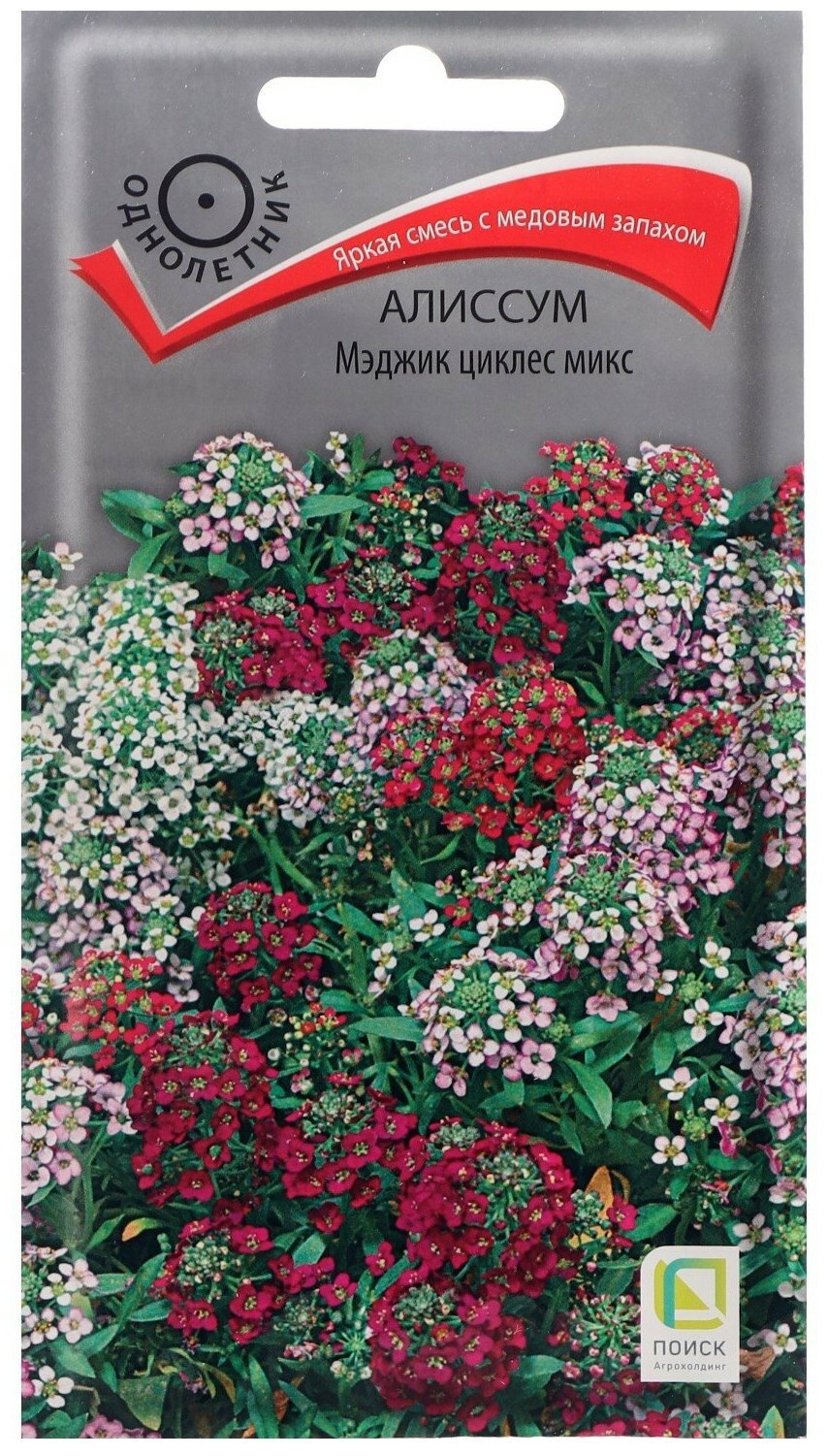 Алиссум Мэджик циклес микс 0,1г ПП