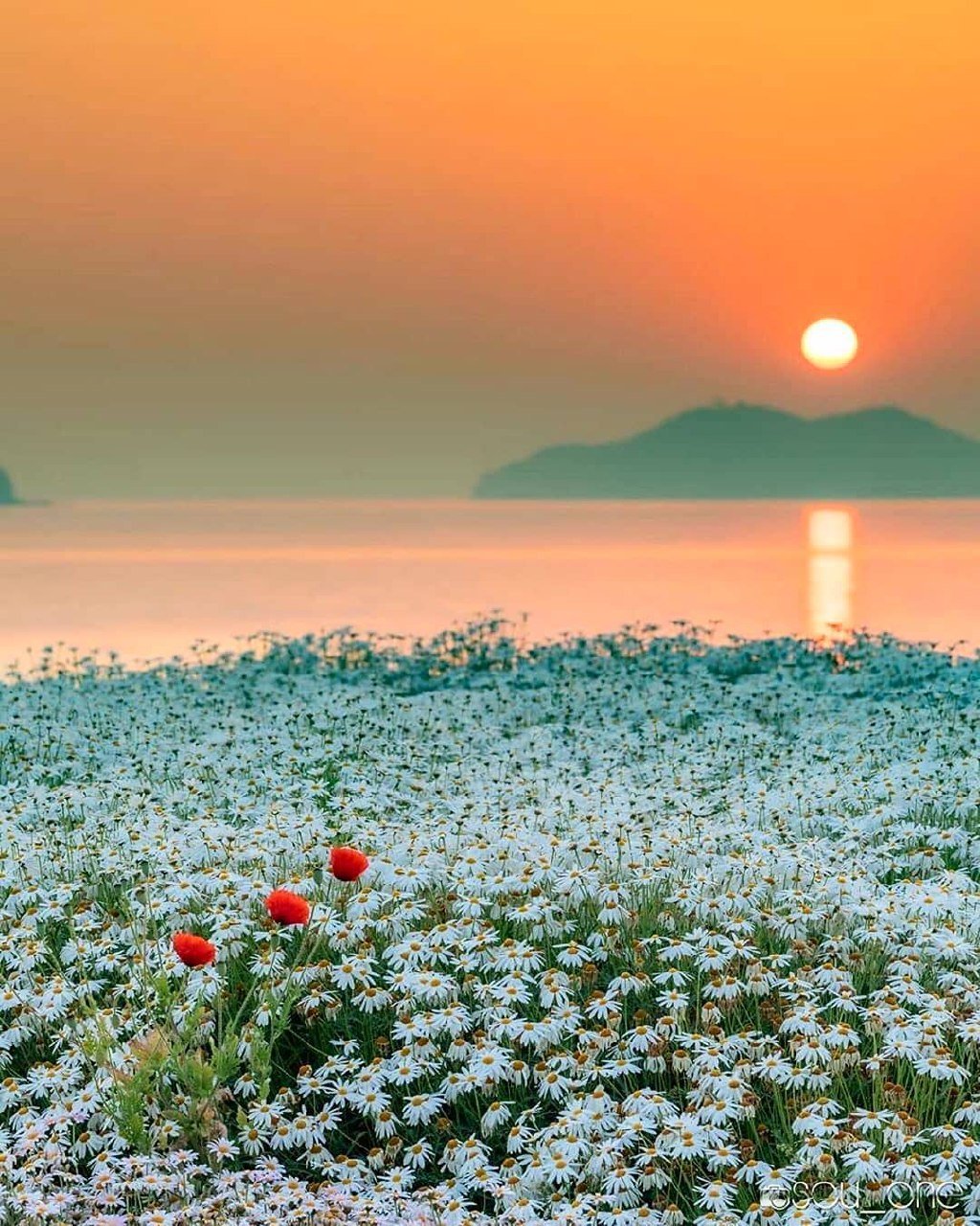 Природа летом рассвет