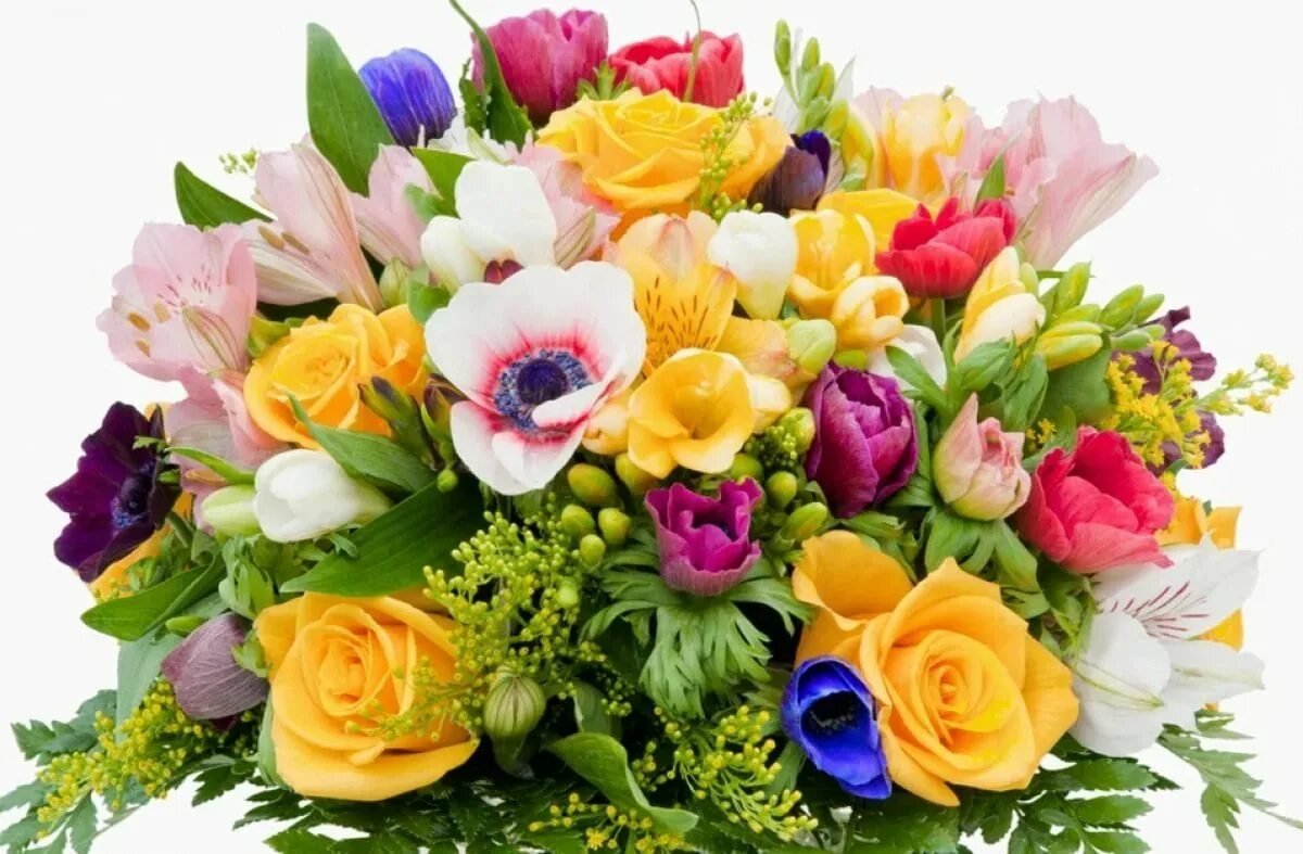 Поздравления букеты цветов