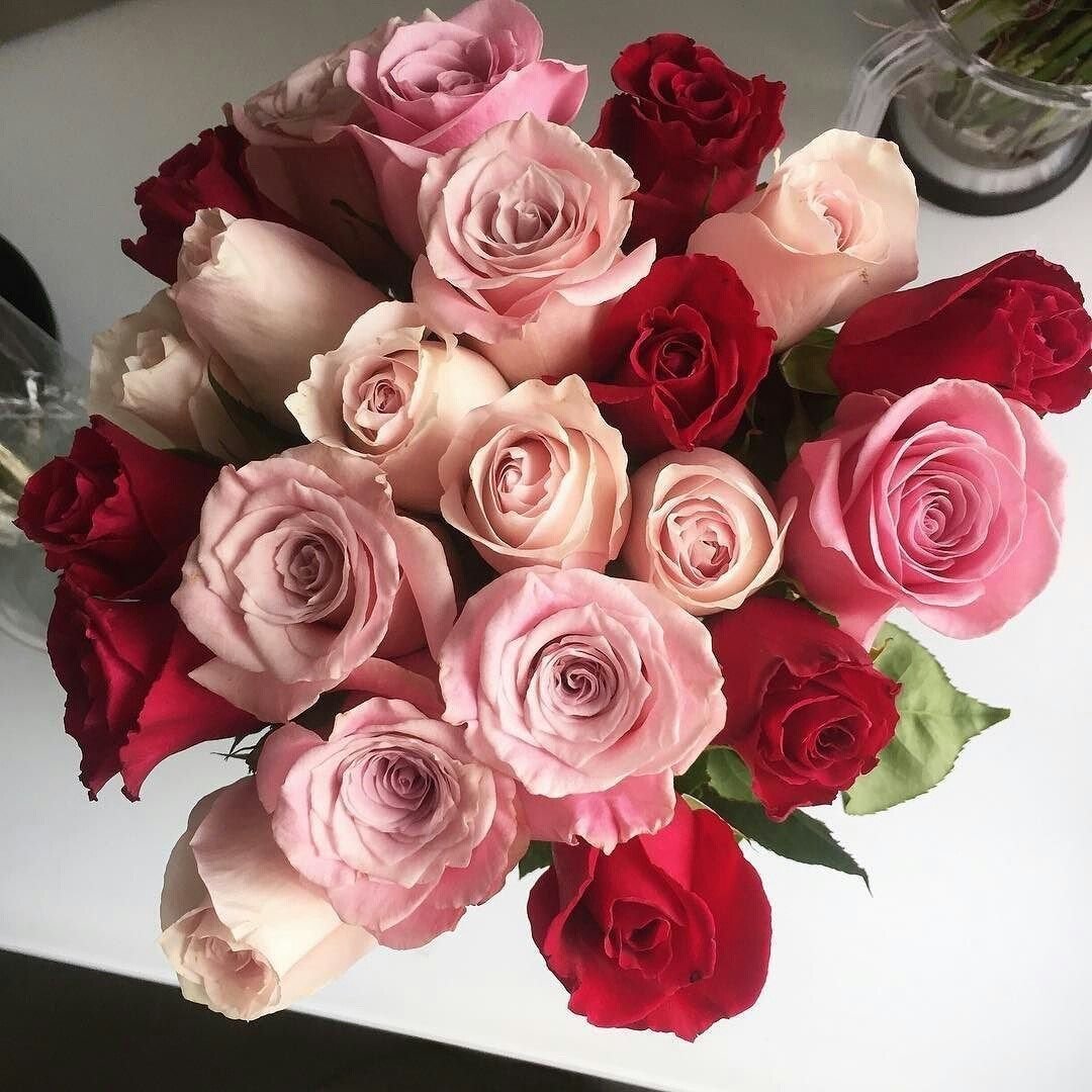 Цветы красивые розы