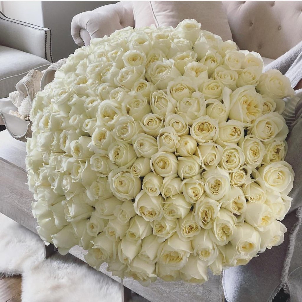101 Роза Вайт Наоми