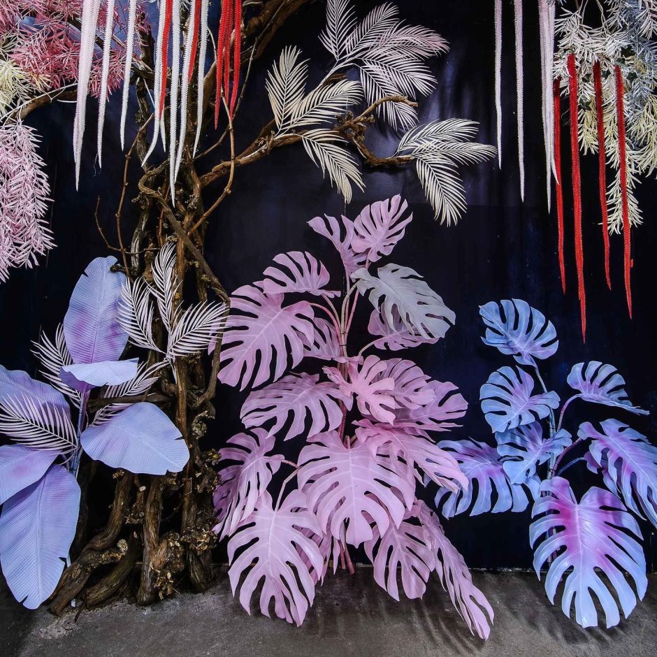 Tropic photozone