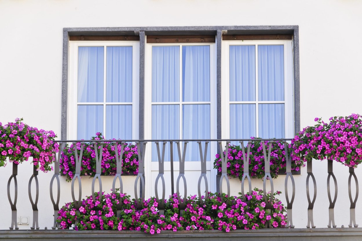 Французский балкон с цветами