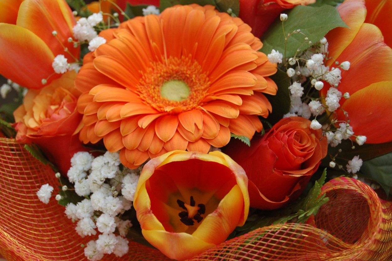 Цветы с оранжевыми цветами