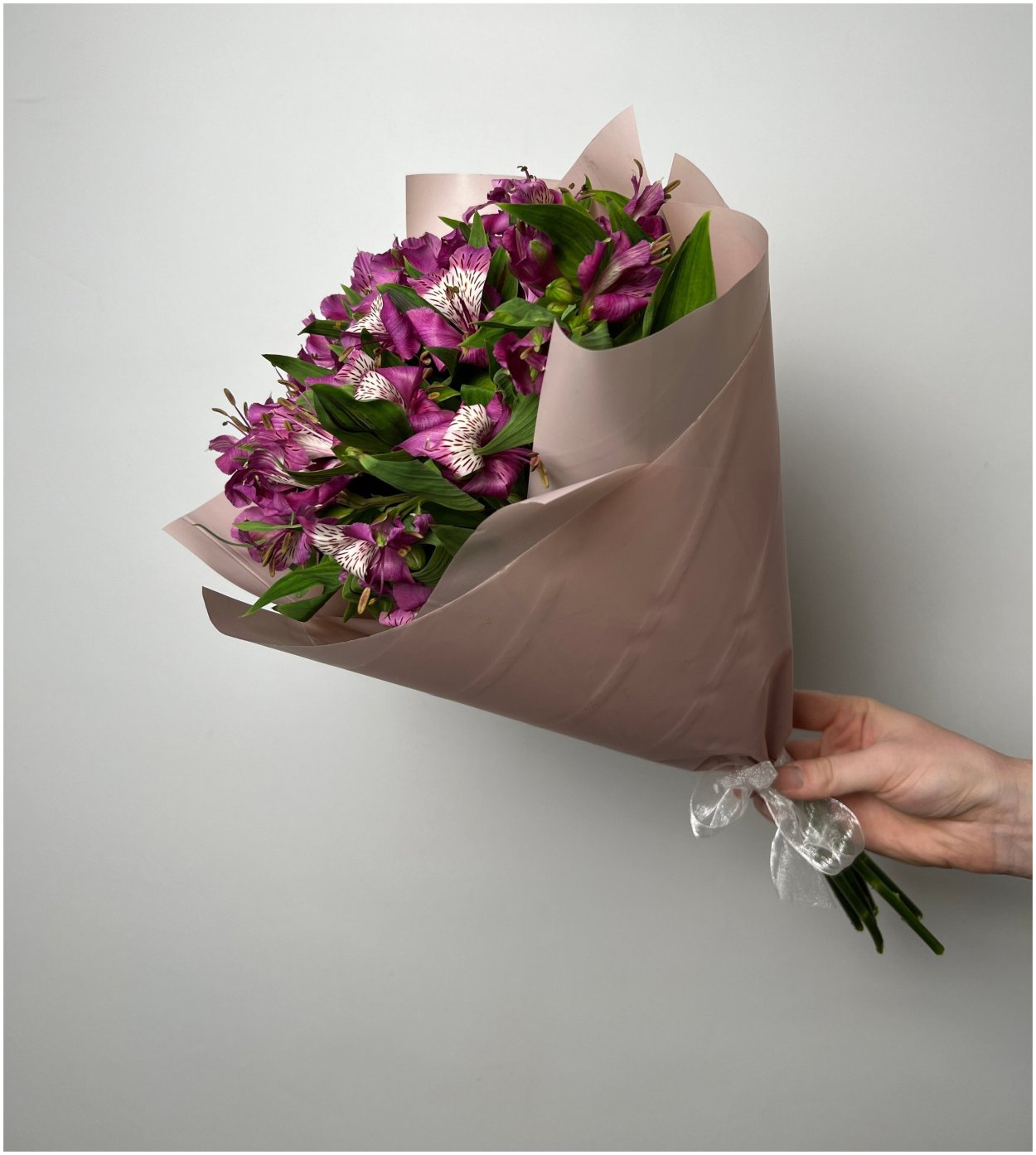 Букет из астральмерии