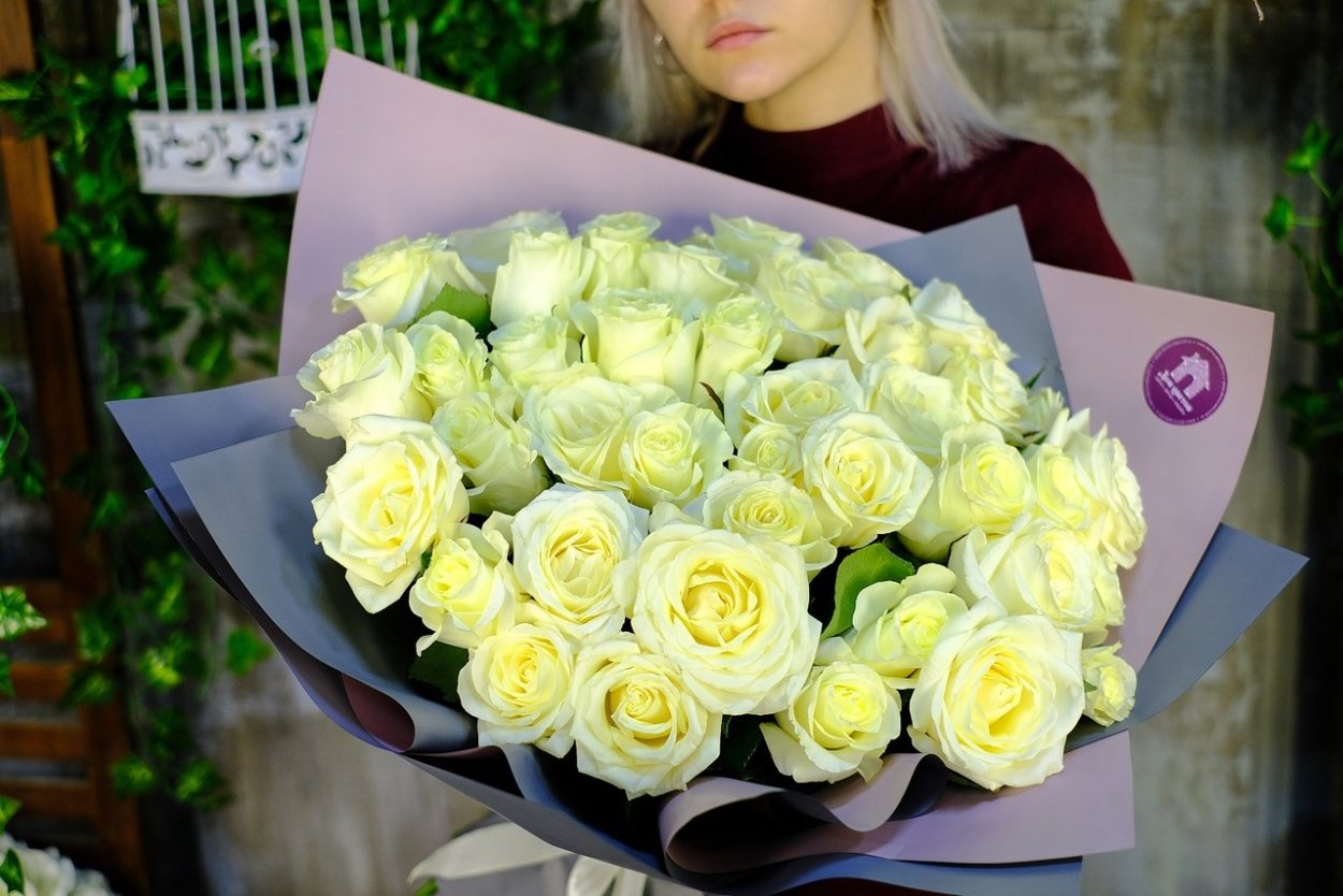 Голландская белая роза