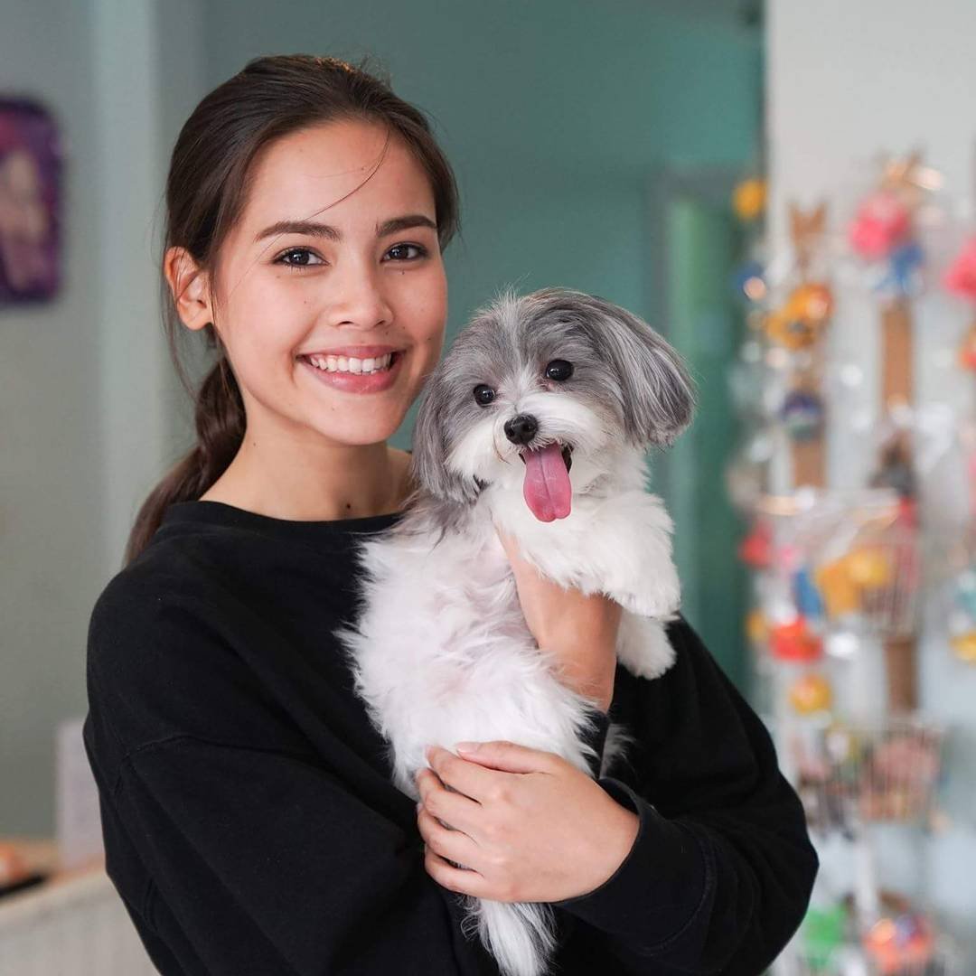 Яя урассая Yaya Urassaya