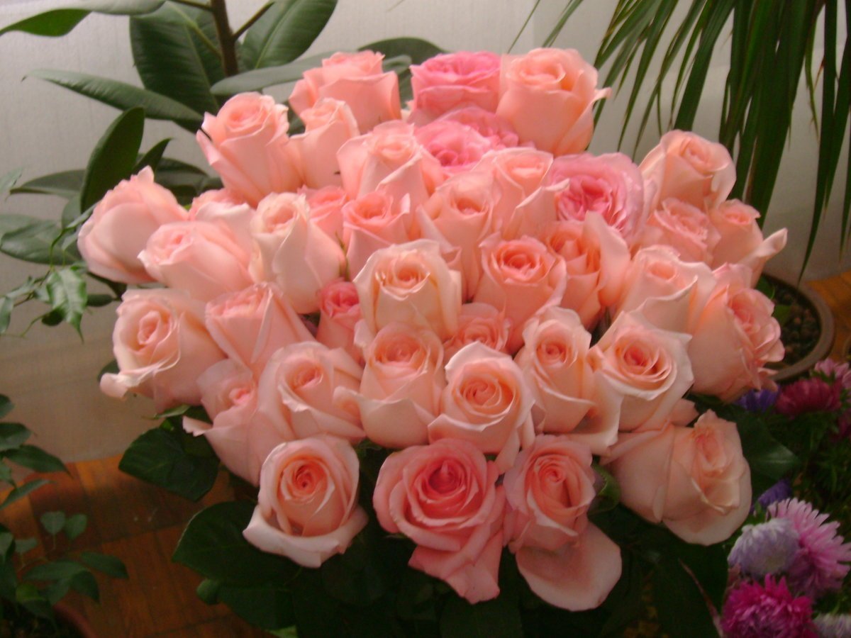 Шикарные цветы с днем рождения женщине