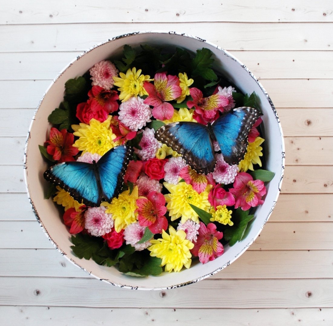 Живые бабочки с цветами. Необычные букеты с бабочками. Композиция из цветов и бабочек. Цветочная композиция с бабочками. Букет с бабочками живыми.