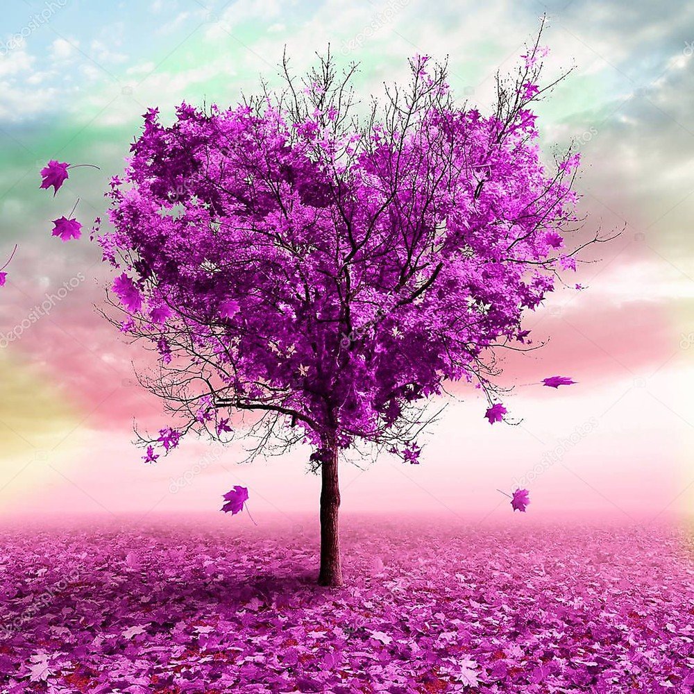 Дерево с фиолетовыми цветами