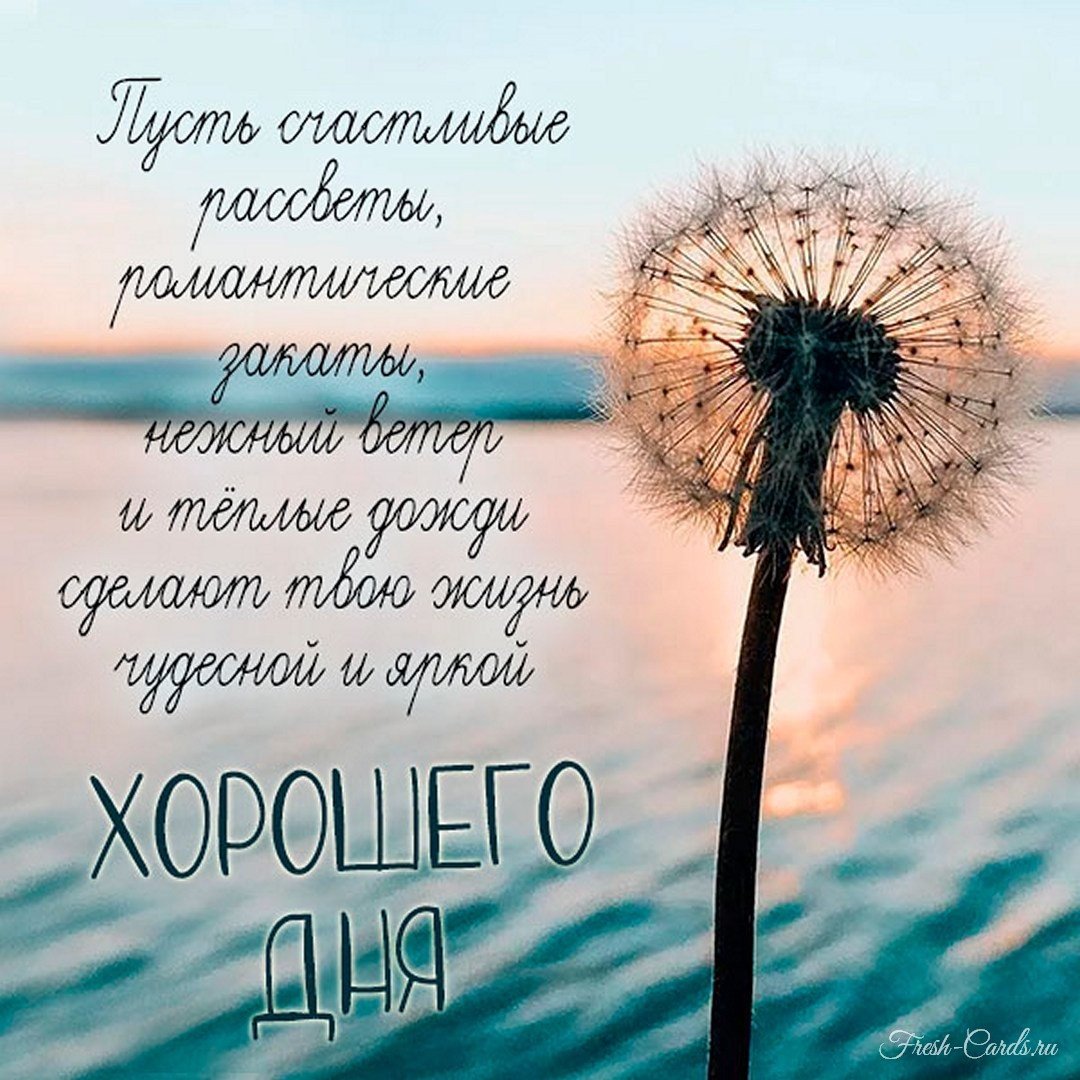 Необычные открытки с пожеланиями хорошего дня