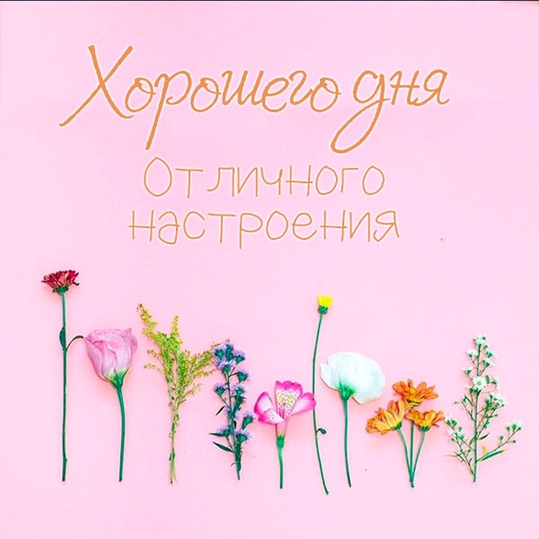 Модные открытки отличного дня