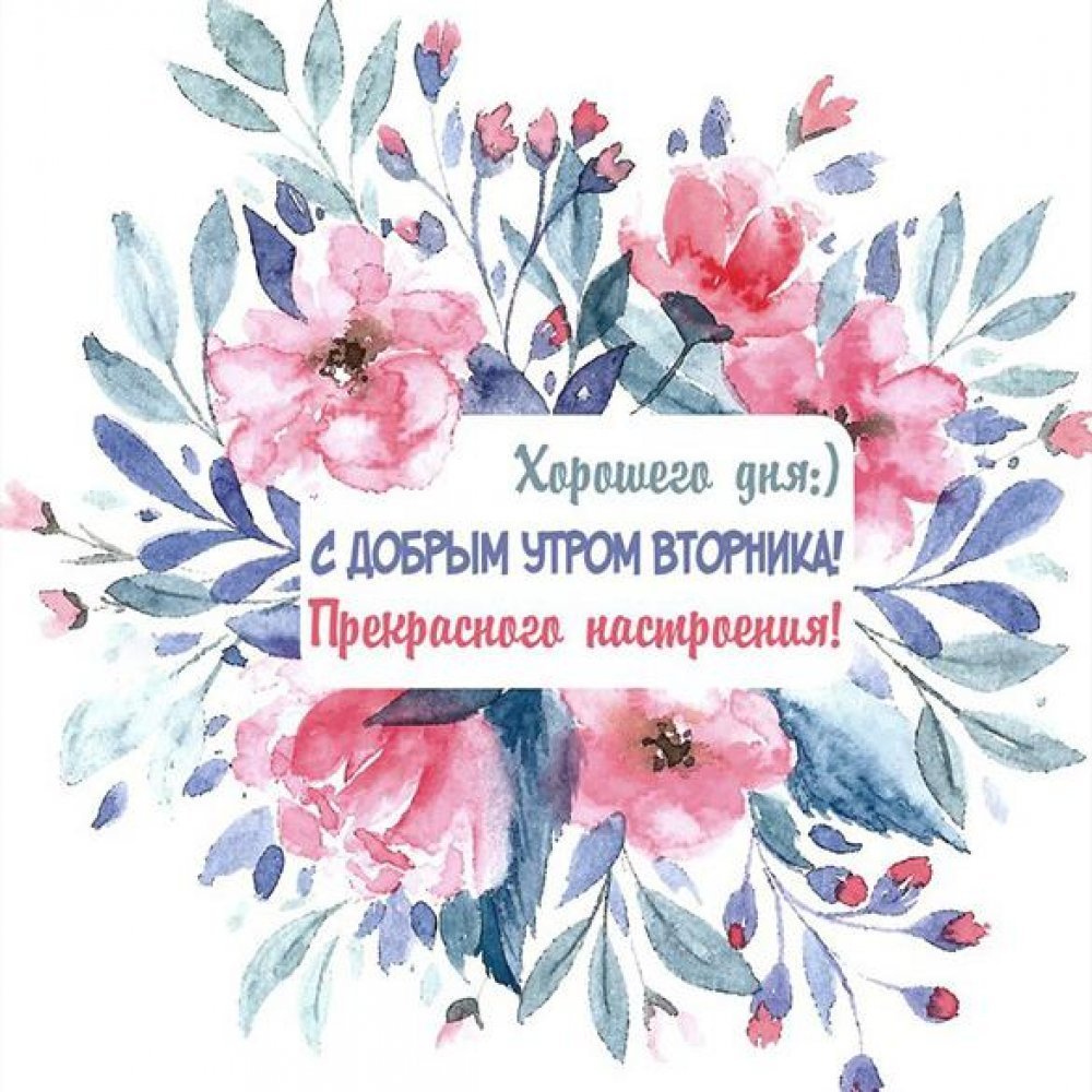 Доброе утро вторника