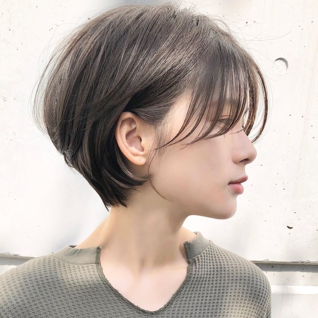Pixie Bob стрижка Корея