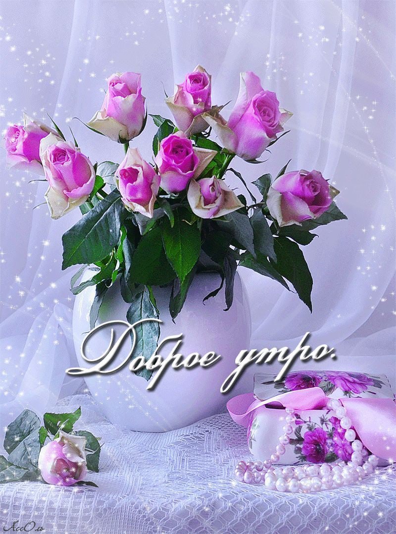 Доброе утро цветы