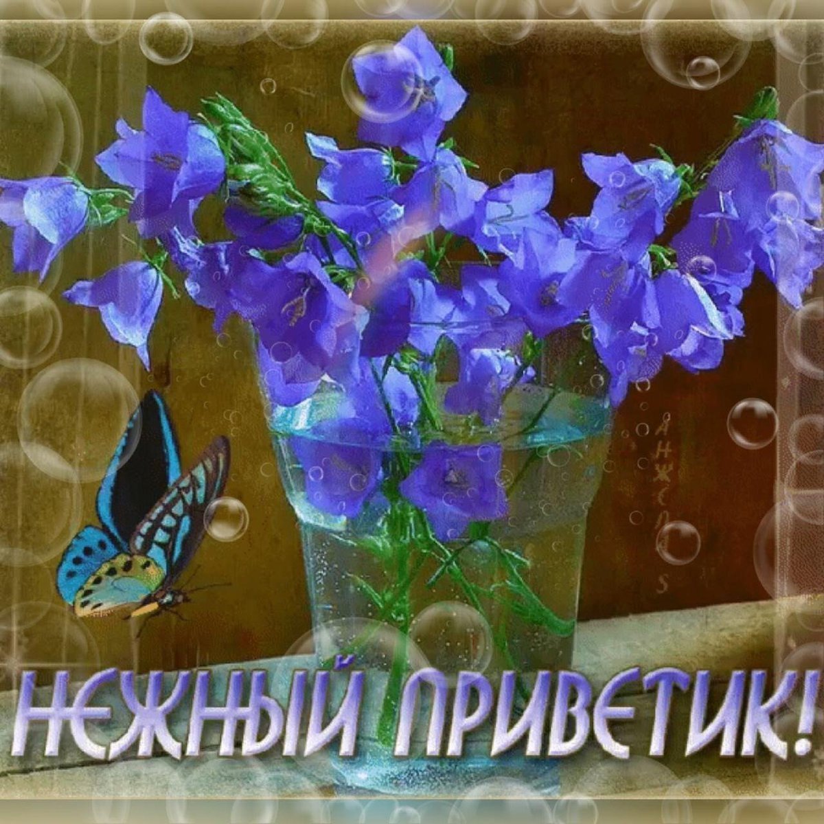 Чудесного весеннего вечера и прекрасного настроения