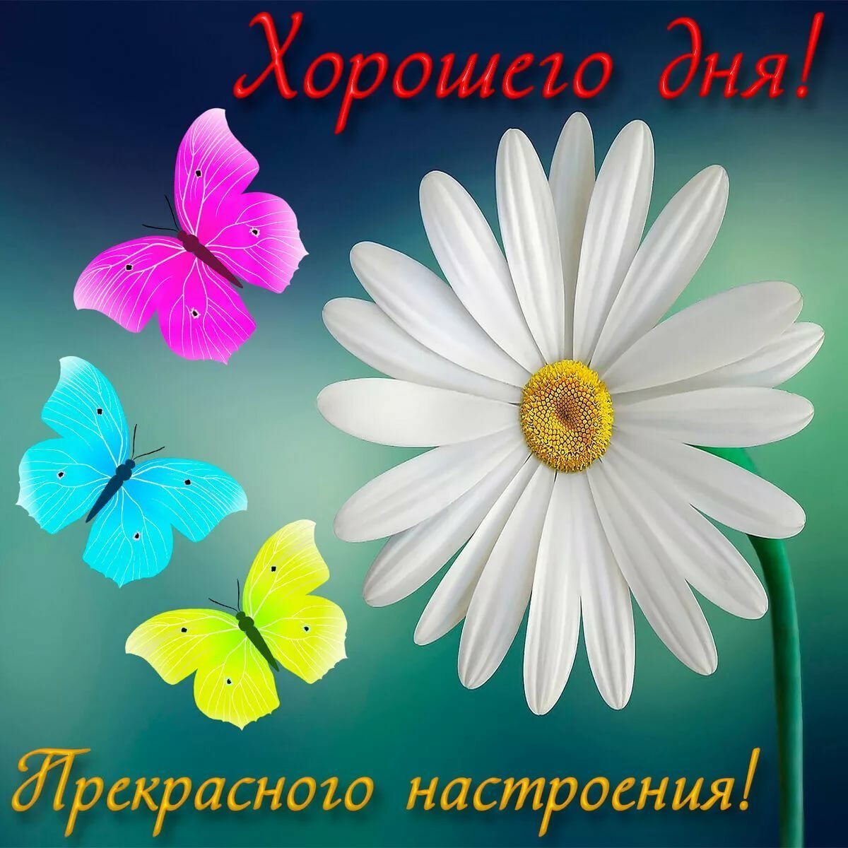 Пожелания хорошего дня и отличного настроения
