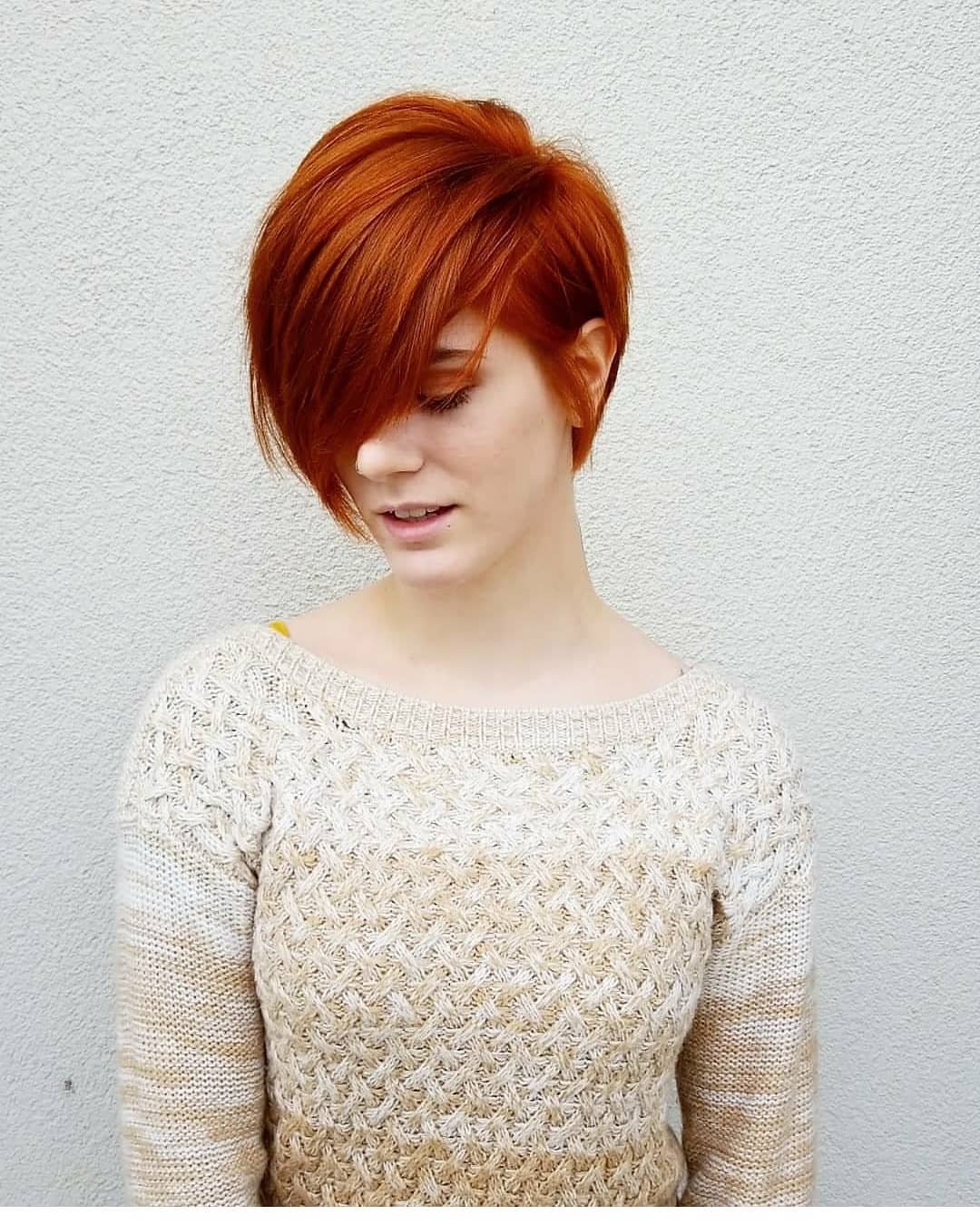 Pixie Bob стрижка красный