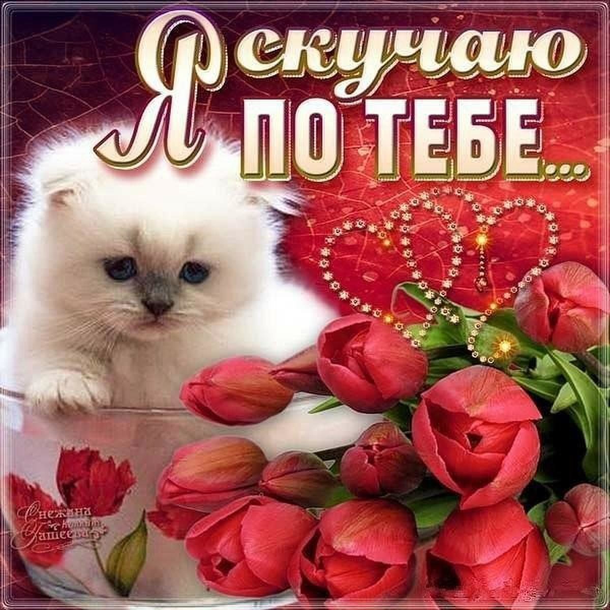 Открытка «любить»