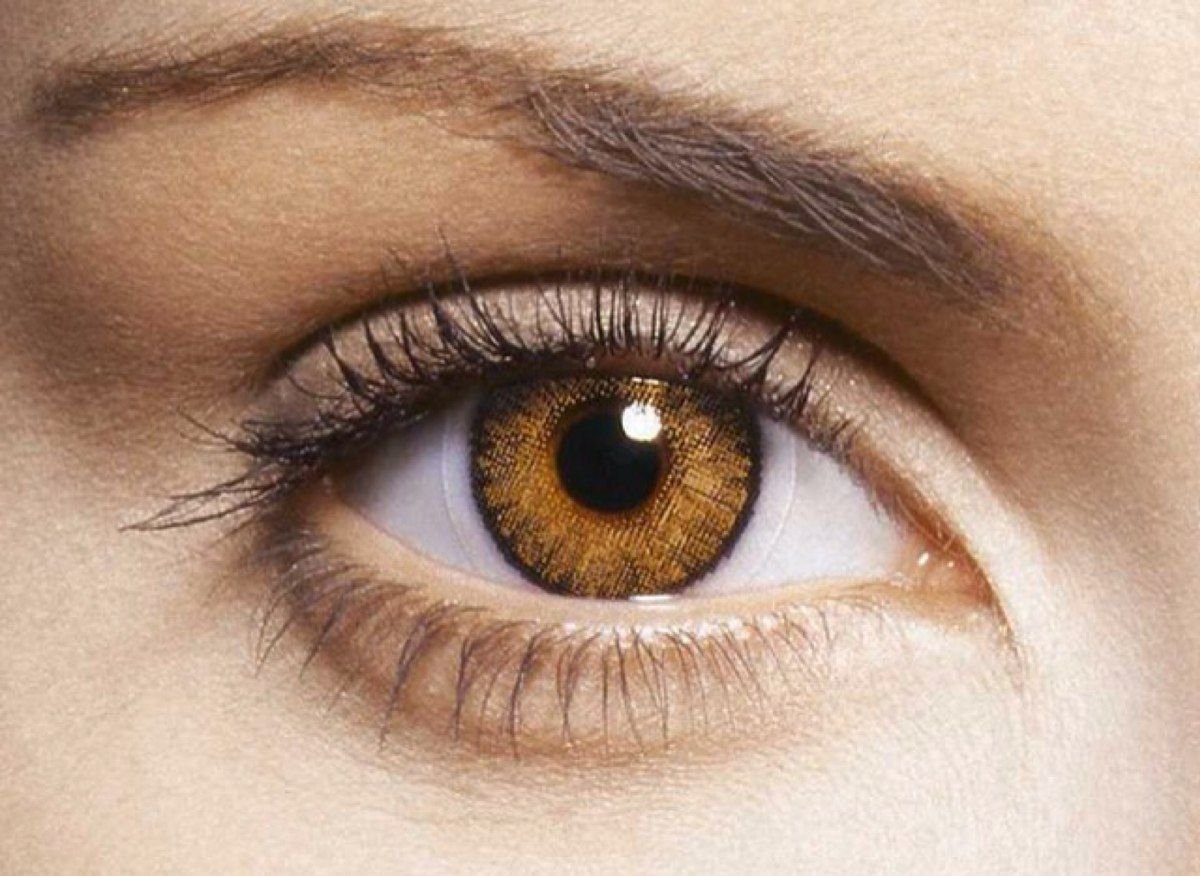 FRESHLOOK Colorblends Pure Hazel