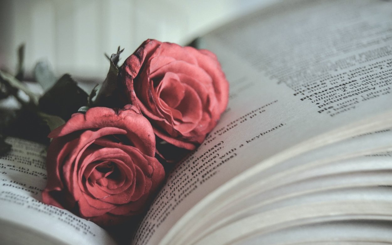 Роза на книге