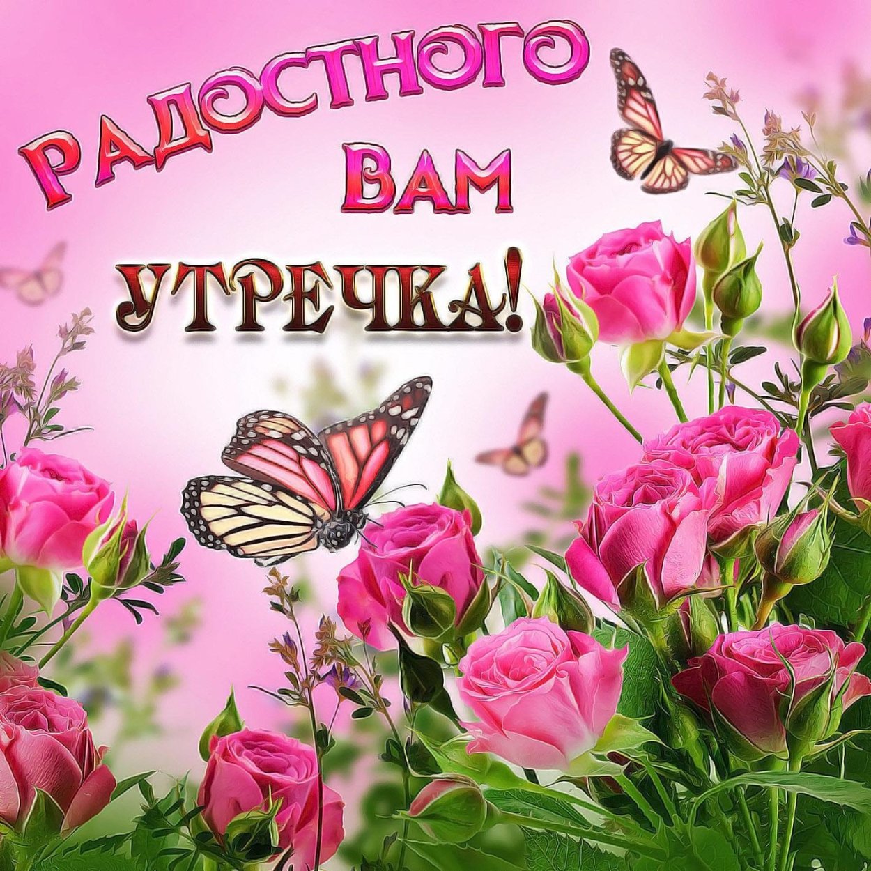 Красивый фон цветы