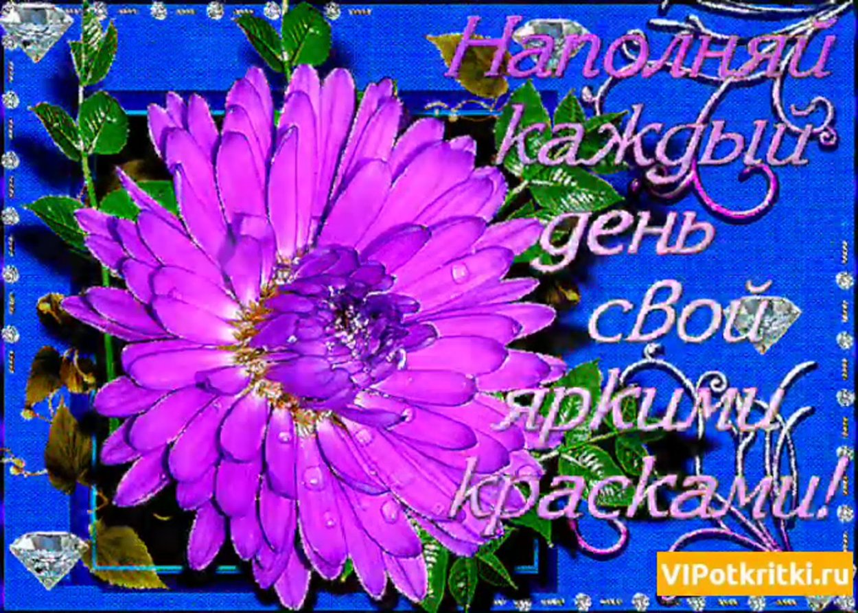 Красивые открытки с пожеланиями