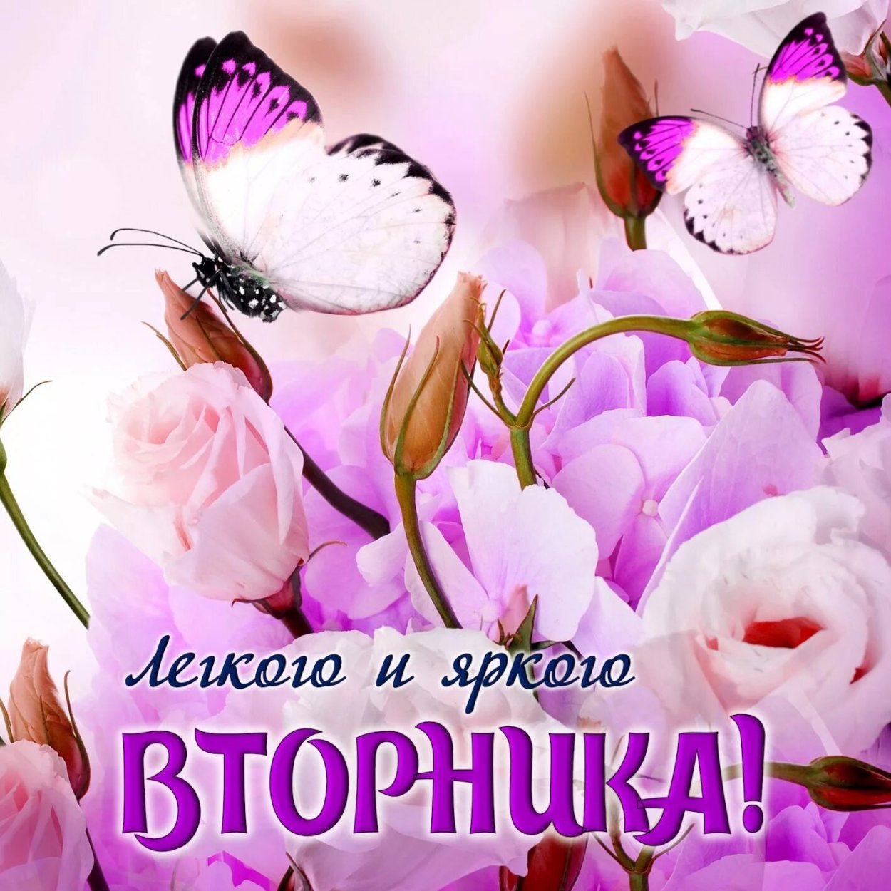 Красивые открытки с добрым