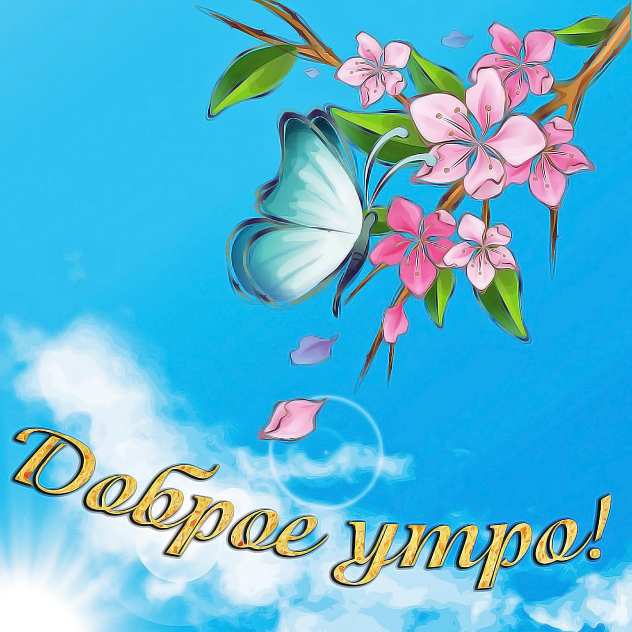 Открытка с д от брым утром