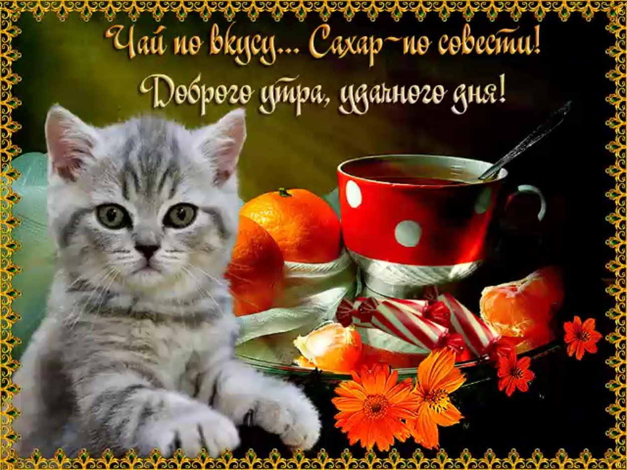 Пожелания доброго утра