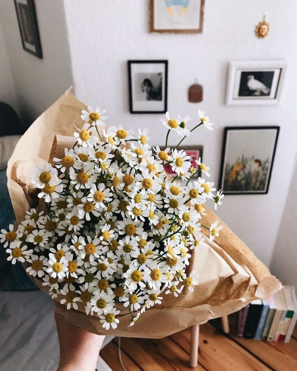 Эстетичный букет ромашек
