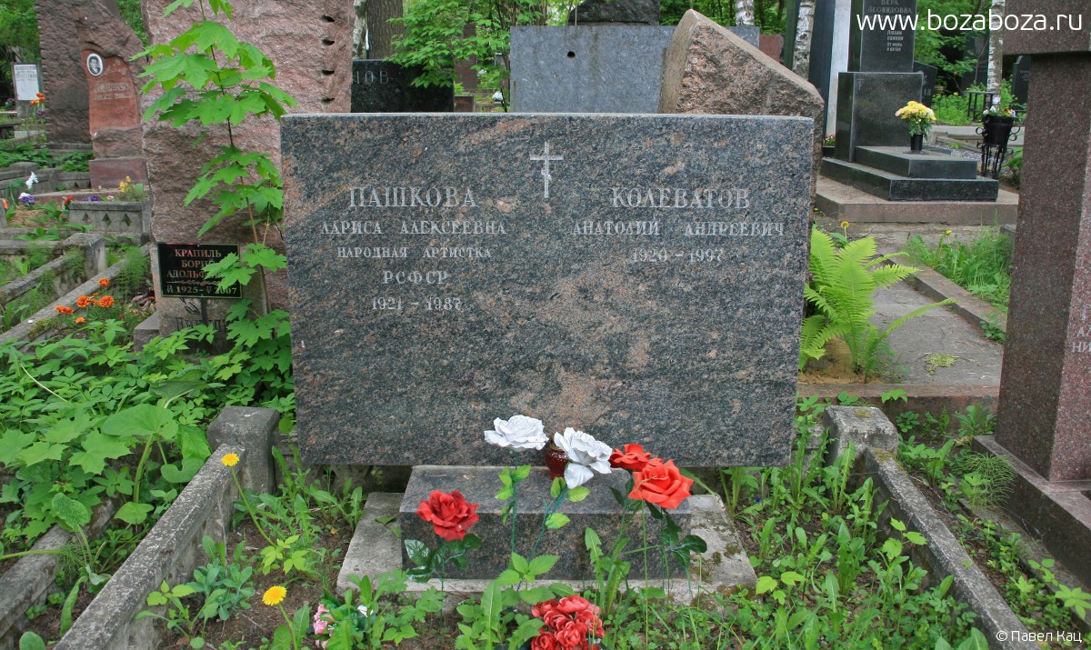 Лариса Пашкова актриса