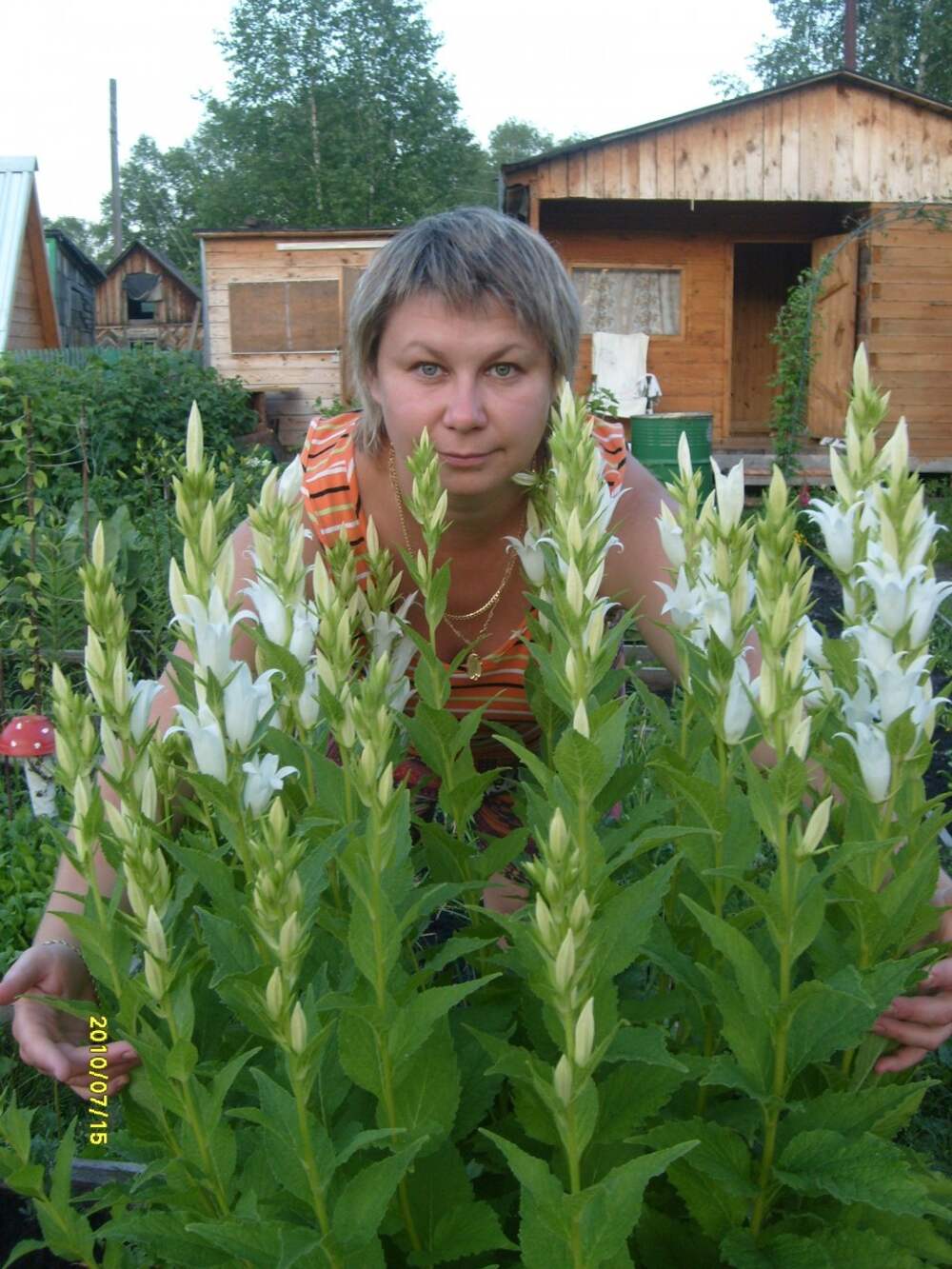 Ирина Дорошенко Старченко