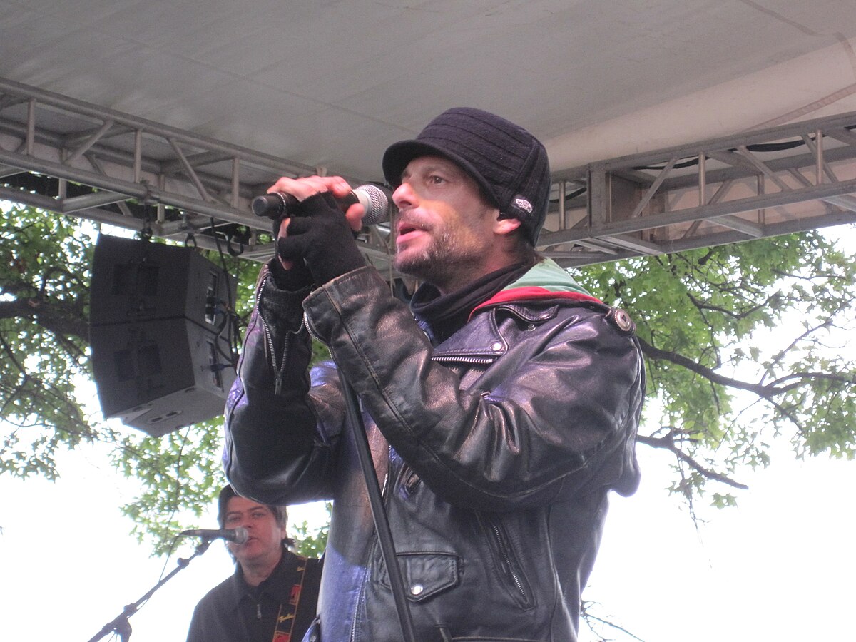 Robin Wilson (musician)