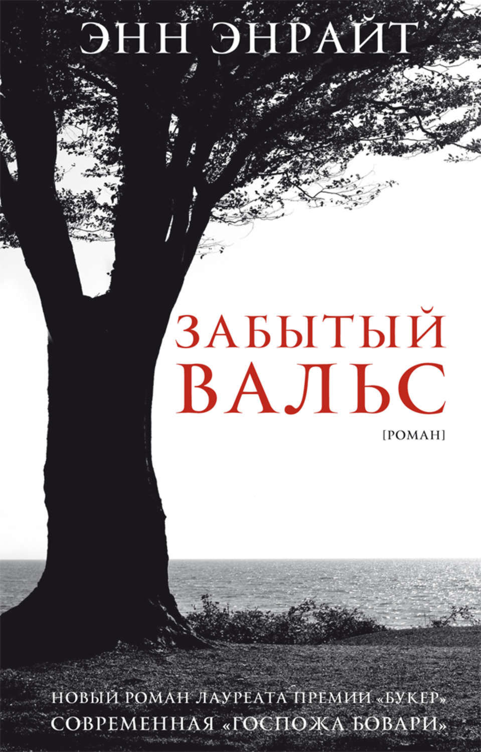 The Forgotten Waltz Энн Энрайт книга