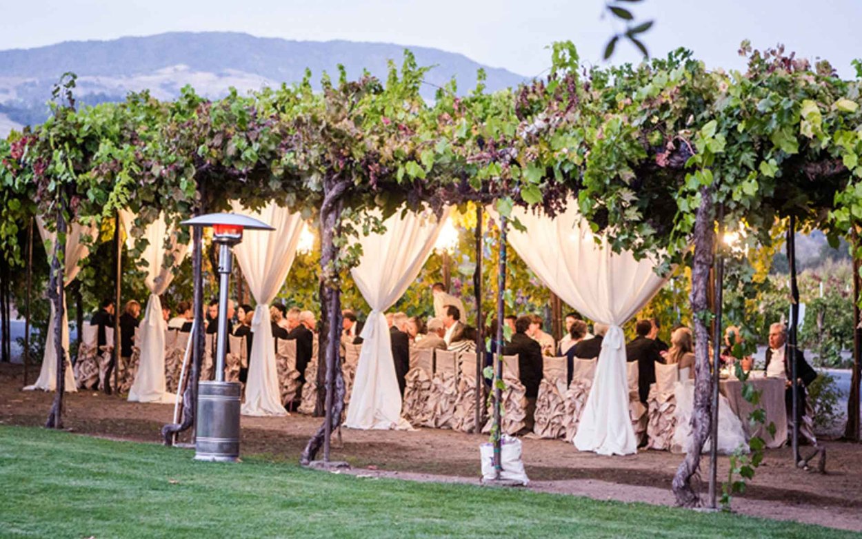 Свадьба в виноградниках